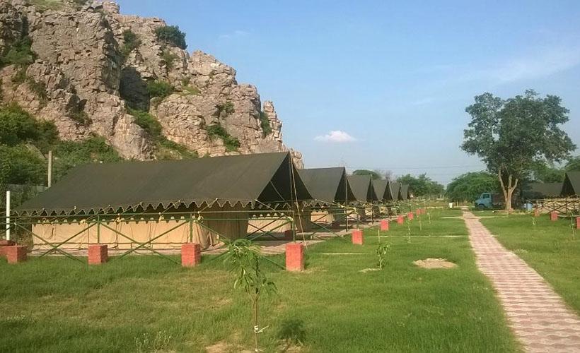 Camp Wild Dhauj