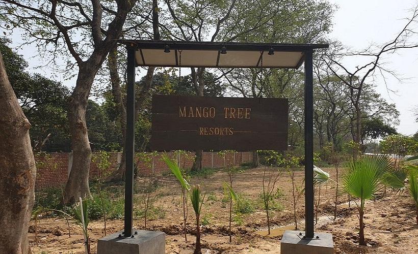 Mango Tree Resort