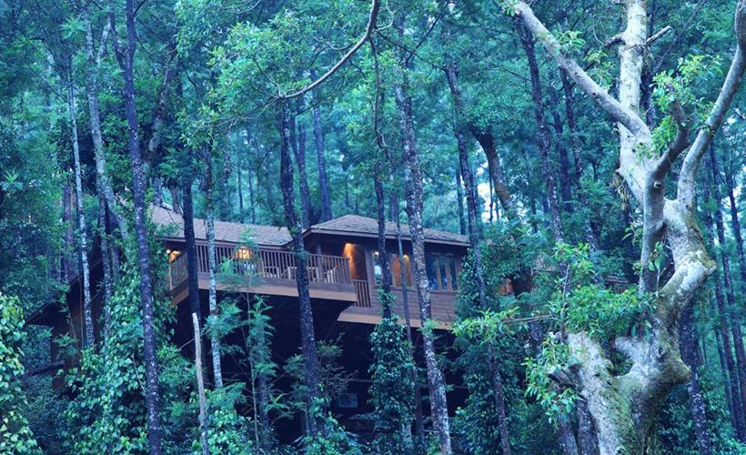 The Tamara, Coorg