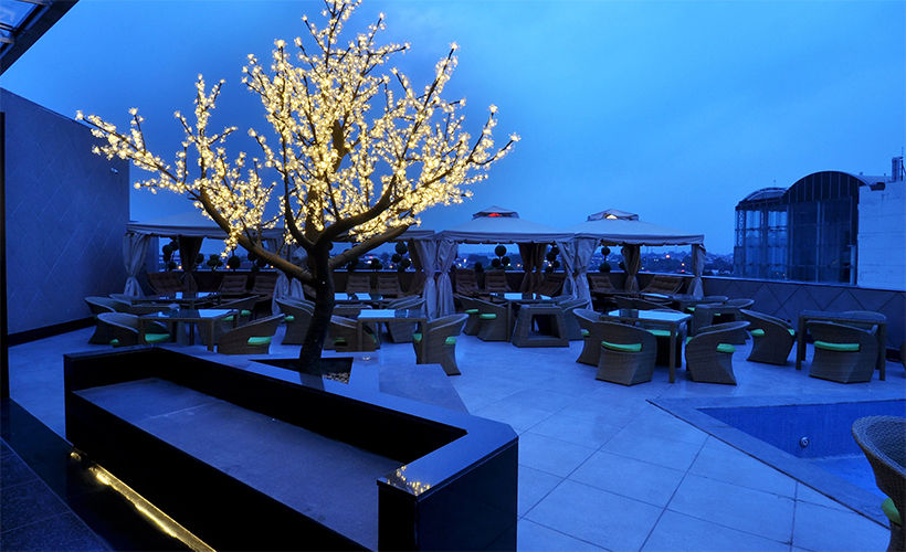 The Cove